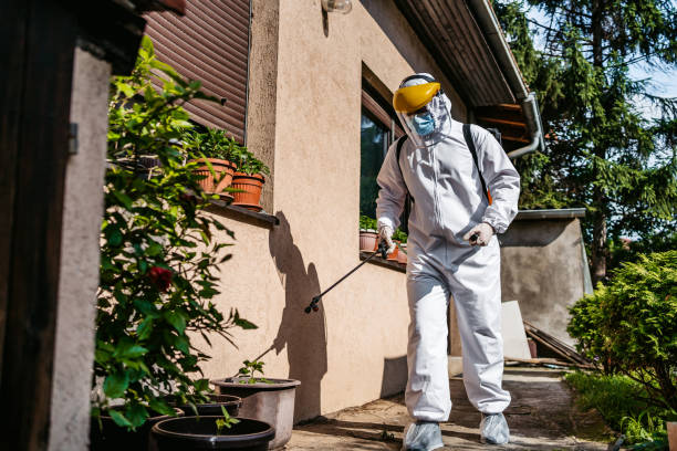 Best Mosquito Control Services  in Linden, NJ