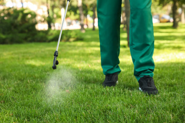 Best Pest Removal Services  in Linden, NJ