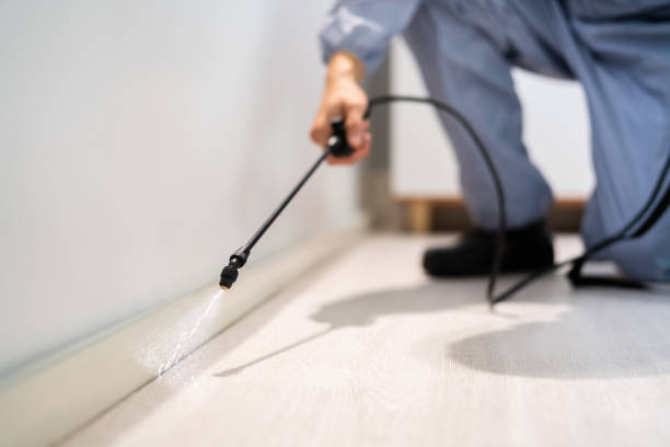 Best Commercial Pest Control Services  in Linden, NJ