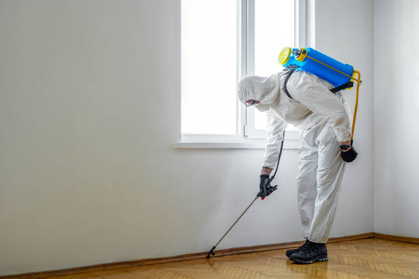 Best Best Pest Control Near Me  in Linden, NJ
