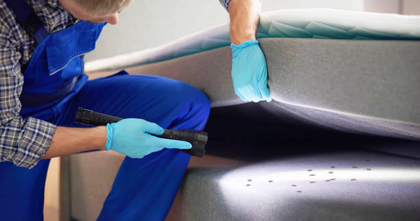 Best Local Pest Control Services  in Linden, NJ