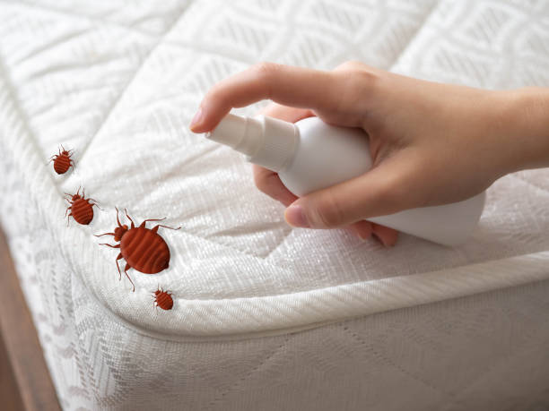 Best Pest Prevention Services  in Linden, NJ