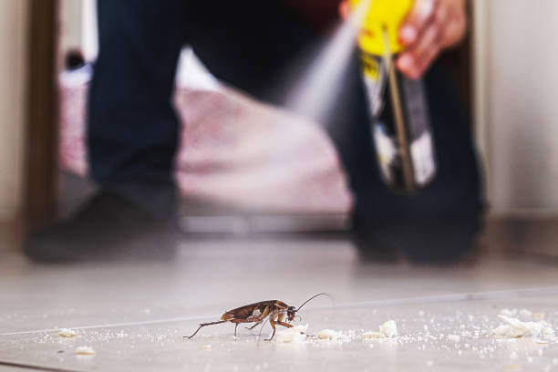 Best Best Pest Control Companies  in Linden, NJ